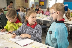 Art classes at Cottesloe Primary School